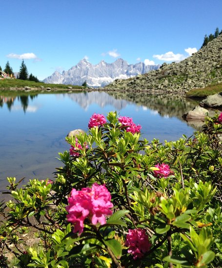 Spiegelsee Reiteralm Bergbahnen | © Reiteralm Bergbahnen