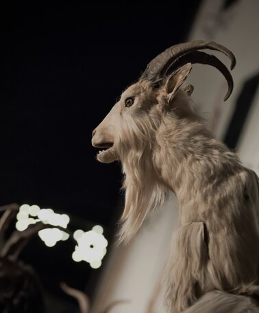 © Christoph Huber
