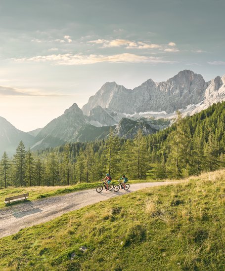 Mountainbike Urlaub in Schladming-Dachstein | © Peter Burgstaller