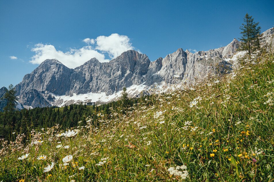 Information office Ramsau am Dachstein - Impression #1 | © Christine Höflehner