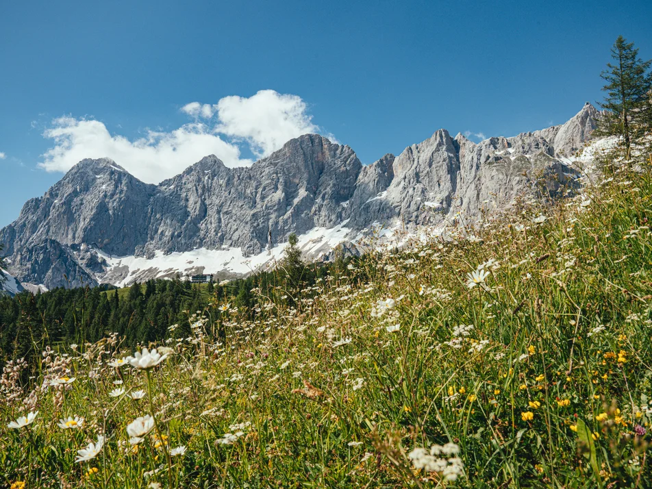 Star Square Ramsau - Imprese #1 | © Christine Höflehner