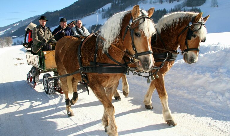 Pferdeschlittenfahrt in Schladming | © Herbert Raffalt