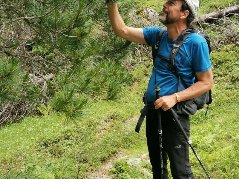 Mountain Guide Norbert Wandl  - Imprese #2.1