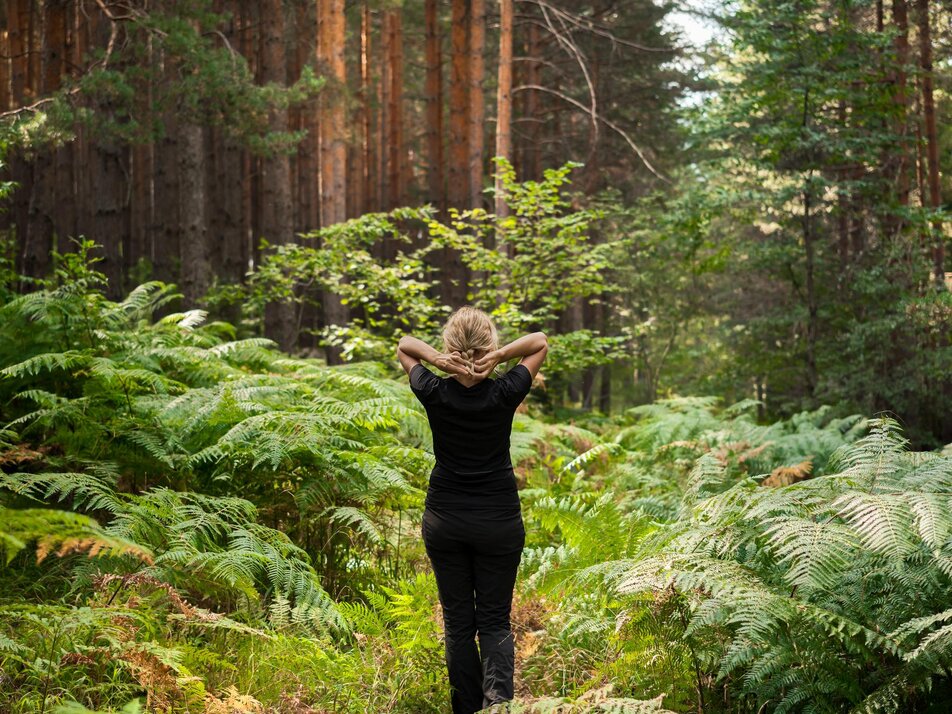 Natur.Kraft.Platz. im Wald | © ededchechine on Freepik