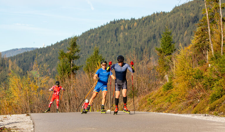 Skiroller track - Imprese #2.3