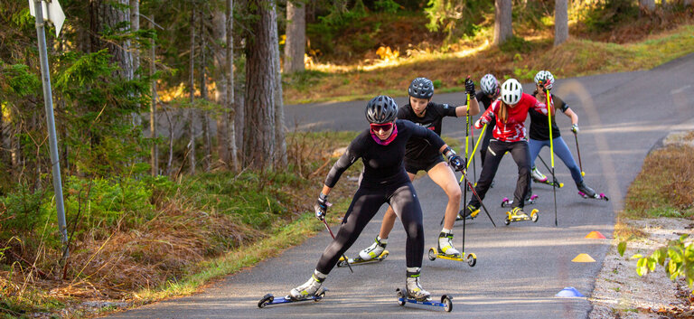 Skiroller track - Imprese #2.4