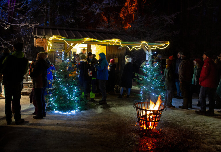 Advent Magic in the Talbachklamm - Imprese #2.6 | © Herbert Raffalt