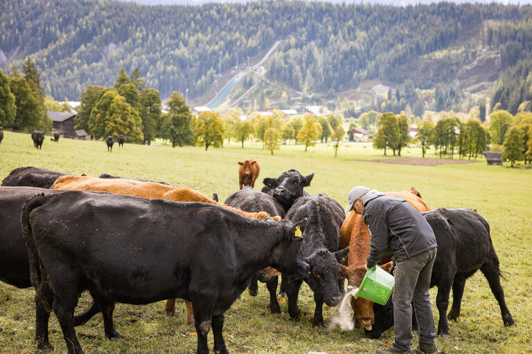 Bakery Heinz Lasser  - Imprese #2.3 | ©  Netzwerk Kulinarik wildbild