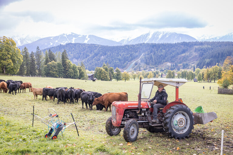 Bakery Heinz Lasser  - Imprese #2.8 | © Netzwerk Kulinarik wildbild