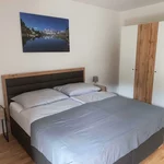 obrázek Apartmán, sprcha, WC, 2 místnosti na spaní