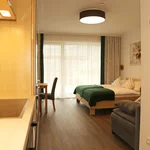 Photo of Apartment, shower, toilet, living room/bedroom