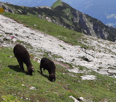 Wander Region Ramsau