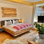 obrázek Apartmán, sprcha, WC, 2 místnosti na spaní