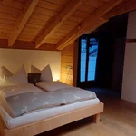 obrázek Apartmán, sprcha, WC, 1 místnost na spaní