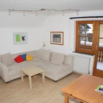 obrázek Apartmán, sprcha, WC, 1 místnost na spaní