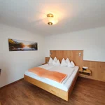 obrázek Apartmán, sprcha, WC, 1 místnost na spaní