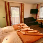 obrázek double room with shower or bathtub, WC