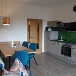 obrázek Apartmán, sprcha, WC, 1 místnost na spaní