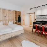 obrázek Apartmán, sprcha, WC, 1 místnost na spaní