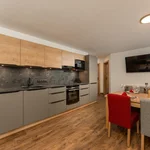 obrázek Apartmán, sprcha, WC, 1 místnost na spaní