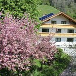 obrázek double room with shower, WC