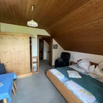 obrázek double room with shower, WC