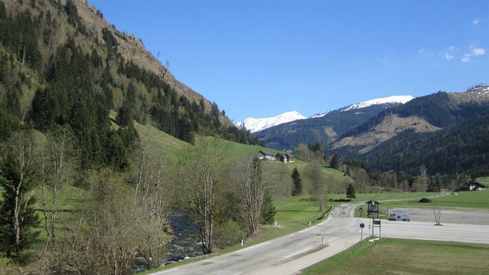 Frühling