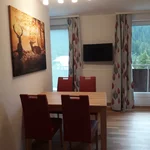 Pomiń zdjęcie Apartment Nr. 8 mit 1 Schlafraum/Dusche