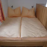 Pomiń zdjęcie Apartment Nr.12 mit Wohn-Schlafraum/Dusc
