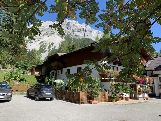 Haus