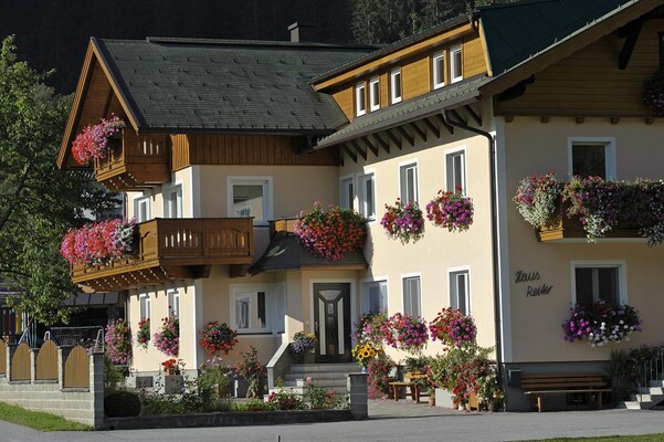Blumenpracht 