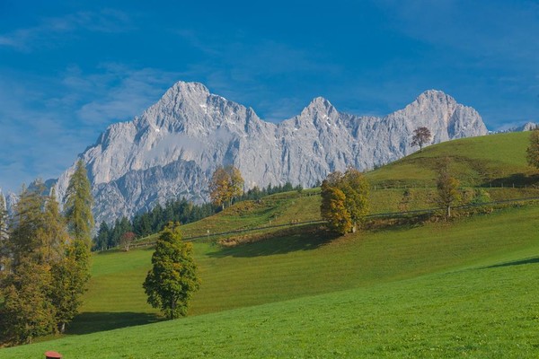 Blick auf Dachstein