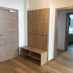 obrázek Apartmán, sprcha, WC