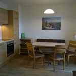 obrázek Apartmán, WC a vana/sprcha odděleny, 1 místnost na spaní