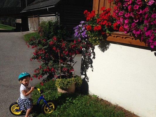 Blumen
