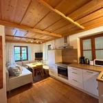 obrázek Apartment Wildstelle/2-3 persons/shower,bath,WC