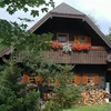 obrázek hol. house - 4 + more bedrooms/shower,WC