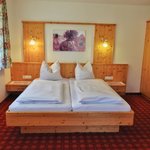 Bild von Appartement Dachstein Schieplechner