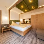 Pomiń zdjęcie juniorsuite "Hohe Rams", 36 m², with shower, WC