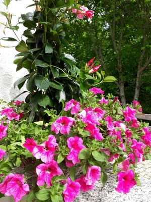 20190621_103243