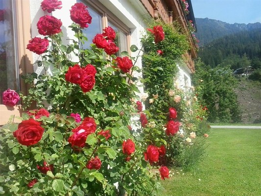 Sommer Trillerhof