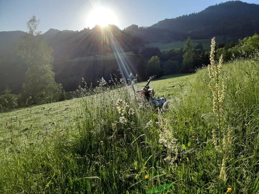 Sonnenuntergang