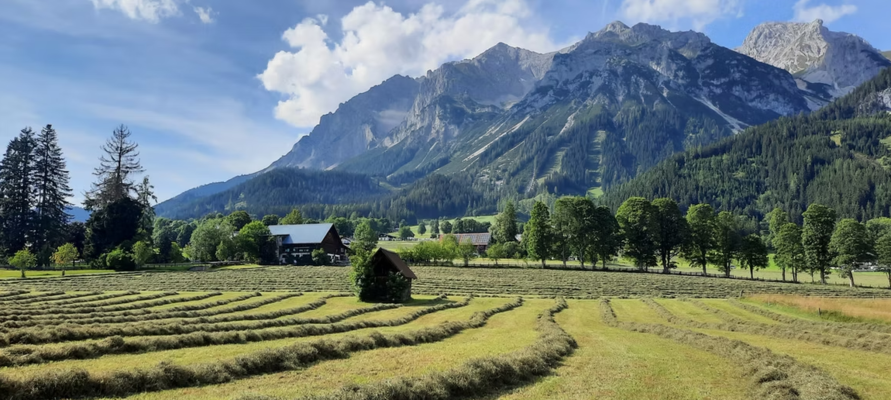 Hausfeld