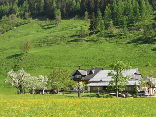 Endlich Frühling